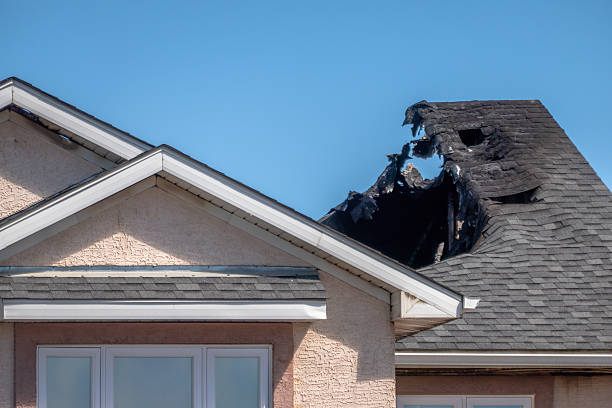 Top rated local Board Up Services specialists in Spicewood, TX